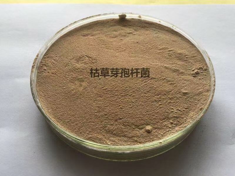 菌肥都有哪些作用？